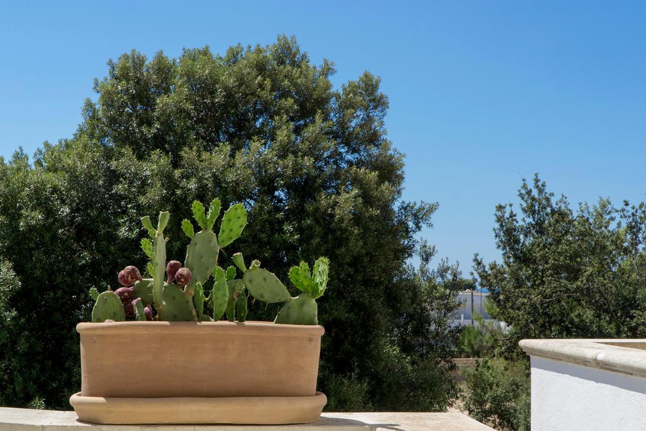Antonella B&B Santa Maria di Leuca Exterior photo
